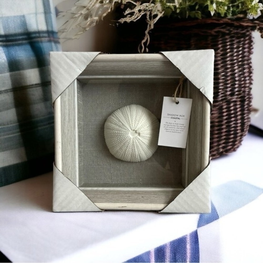 NEW Coastal Shadow Box 9" Sea Urchin Shell Wall Art Beach Nautical Decor White